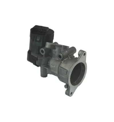 Vanne EGR Citroën Peugeot Fiat Ford 2.0 HDI TDCI